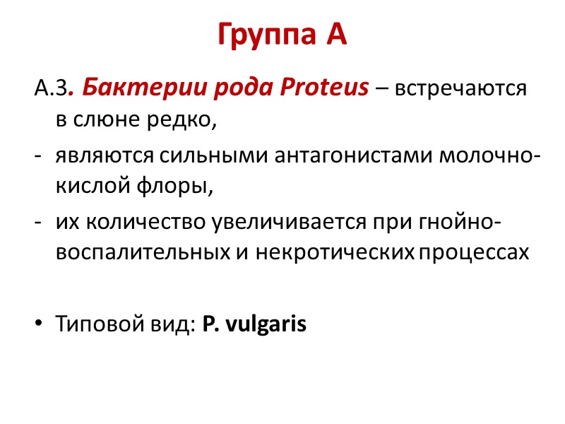 Группа А   А.3. Бактерии рода Proteus – встречаются в слюне редко, являются